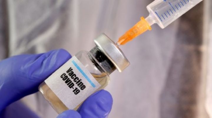 ¡Infamia! Veterinarios aplican vacunas para perros en lugar del fármaco contra el coronavirus