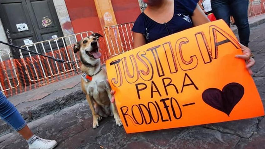 Justicia para 'Rodolfo Corazón': Convocan a marcha en Guaymas tras brutal asesinato de perrito