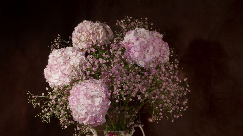 ¡Ya viene el día de las madres! Descubre algunas flores que podrías regalarle el 10 de mayo