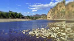 Piden sanciones más duras contra la depredación del Bajo Río Mayo