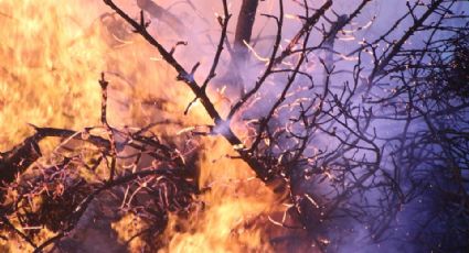 Terrible final: Fuego en terreno baldío alcanza a indigente y lo calcina; no pudieron ayudarlo