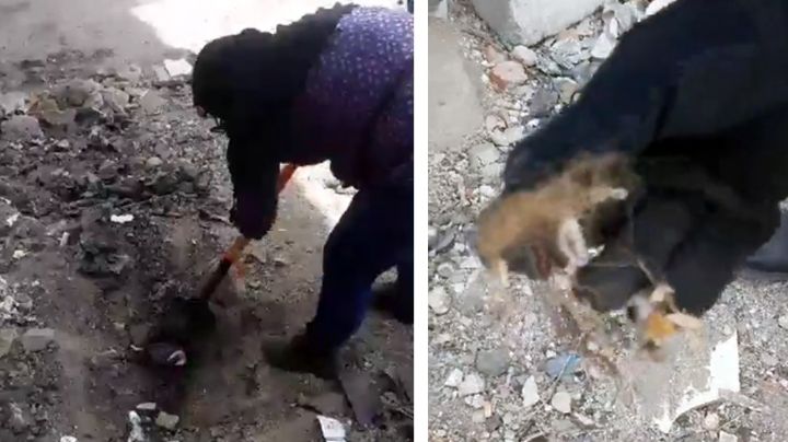 Hermosillo: Localizan cadáver de mujer enterrado en las faldas del Cerro de la Campana