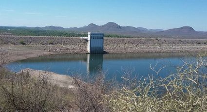Alarma en Sonora por sequía: Presas del estado se encuentran al 28% de capacidad