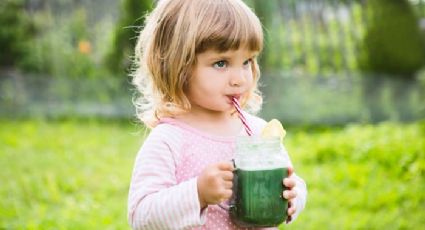 Descubre las razones por las que los niños no deben tomar el famoso jugo verde
