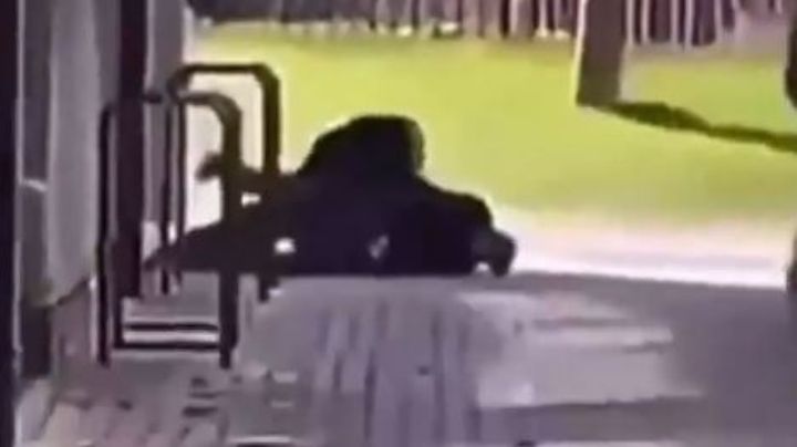 VIDEO: Maestro somete a un pistolero que hirió a dos personas en el colegio Crawley