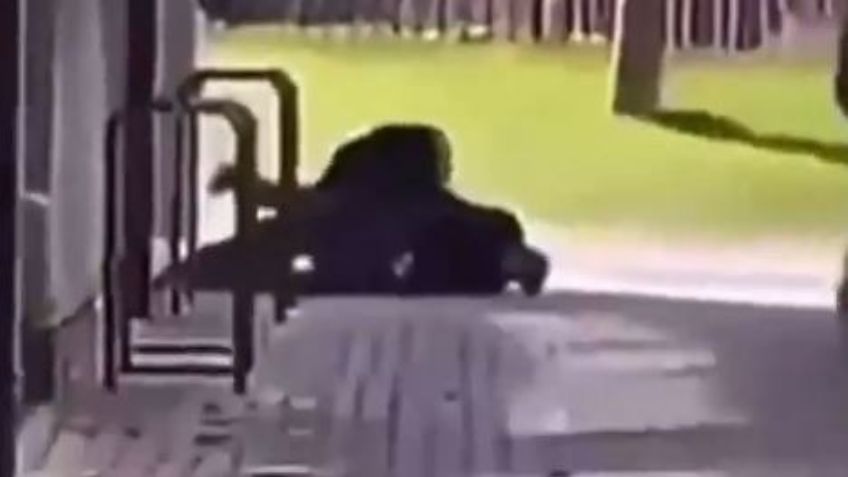 VIDEO: Maestro somete a un pistolero que hirió a dos personas en el colegio Crawley