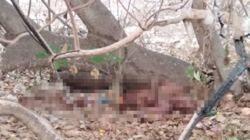 Golpeado en el rostro y cuerpo, así hallaron el cuerpo de un pescador en Acapulco