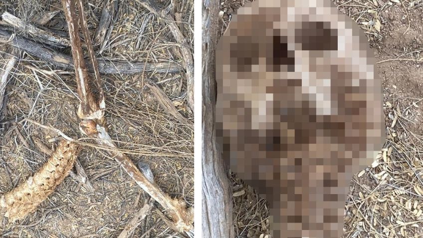 Nuevo hallazgo en Sonora: Ubican cadáver esquelético en carretera Hermosillo-Bahía de Kino