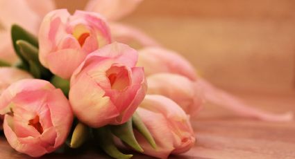 ¡Perfectos para el Día de las Madres! Descubre algunas ideas para ramos de flores