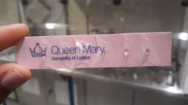 Covid-19: Desarrollan una nueva prueba que detecta el virus y 2 enfermedades más