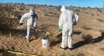 Nogales: Descubren tres cadáveres esqueléticos enterrados en fosas clandestinas