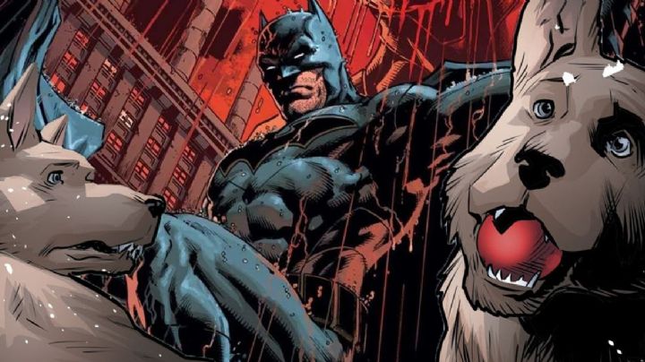 ¡Igual que 'Supercan'! Llena de poder a tu mascota con estos nombres para perros de DC