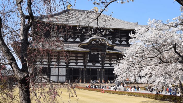 ¡Viaja a Asia sin salir de casa! Conoce los paisajes más hermosos de Japón