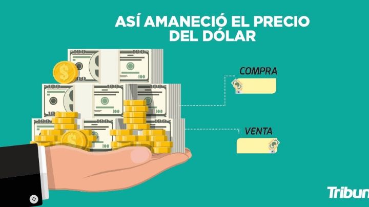 Precio del dólar en tiempo real: Tipo de cambio en México de este martes 24 de agosto del 2021