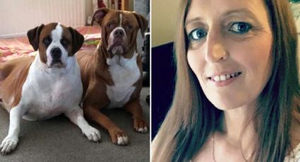 "¡Atacan a mi mamá!": Dos perros asesinan brutalmente a su dueña tras discutir con su hija