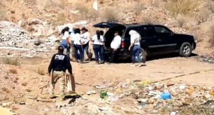 Hallan nuevos restos humanos en fosa clandestina de Guaymas; habría hasta cinco cadáveres