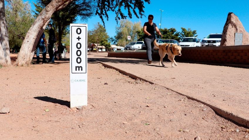 ¡Siempre no! Estacionamiento en Laguna del Náinari, queda solo en proyecto