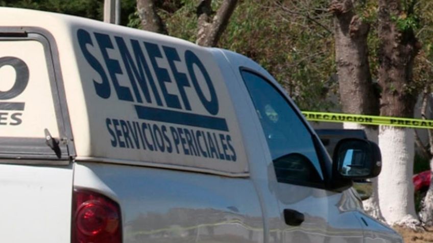 De terror: Localizan cinco cuerpos en Michoacán; habrían sido asesinados a tiros