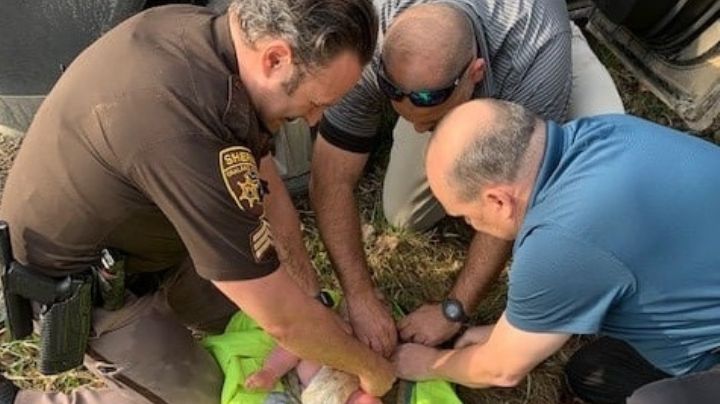 Rescatan a bebé de 4 meses con hipotermia; su madre lo abandonó en un área boscosa