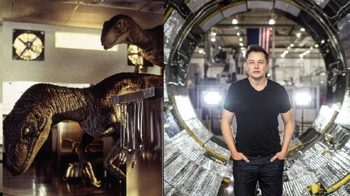 ¿Con dinosaurios? Elon Musk superaría la ficción y construiría Parque Jurásico con Neuralink
