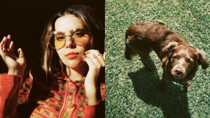 ¡Amistad verdadera! 'Yuya' enternece redes con su mascota 'Majo'; le regaló un juguete