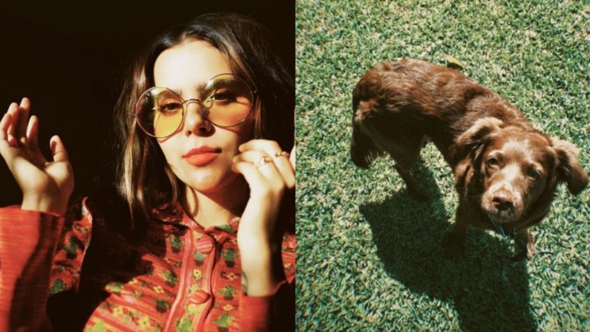 ¡Amistad verdadera! 'Yuya' enternece redes con su mascota 'Majo'; le regaló un juguete