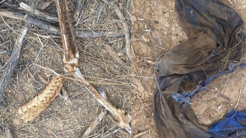 Sonora: Restos hallados en predio de Hermosillo serían de un hombre desaparecido desde 2020