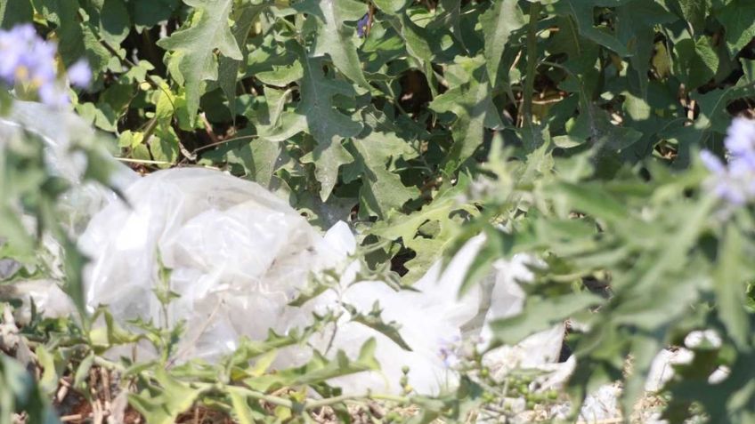 Macabro: Hallan cadáver putrefacto de mujer; se acumularían 33 feminicidios en Puebla