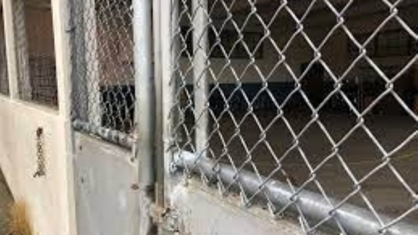 Demandan a director de una escuela por encerrar en una jaula a un niño de 8 años