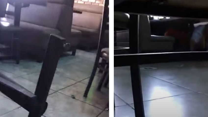"¡Están balaceando!": Captan en video el angustiante momento de un ataque armado en Sonora