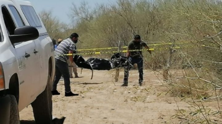 Encuentran cuerpo descompuesto en Caborca; estaba encobijado y tenía impactos de bala