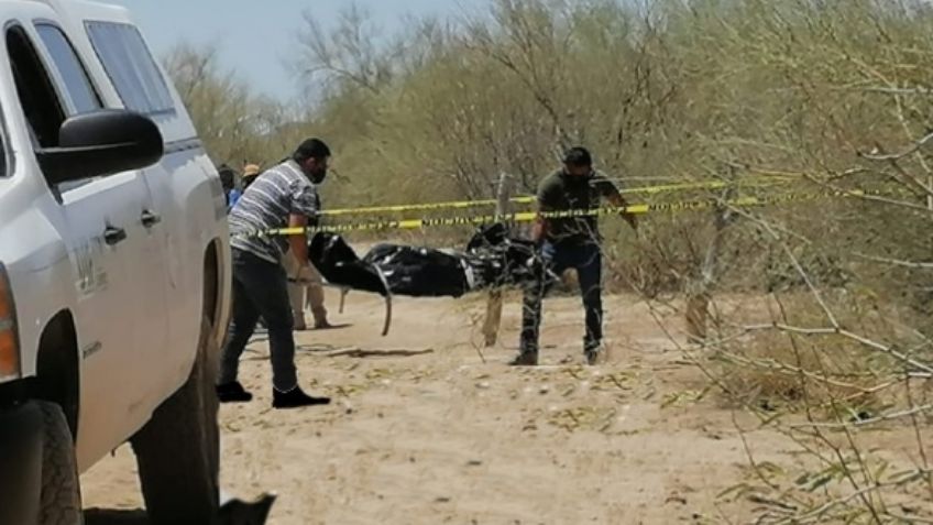Encuentran cuerpo descompuesto en Caborca; estaba encobijado y tenía impactos de bala