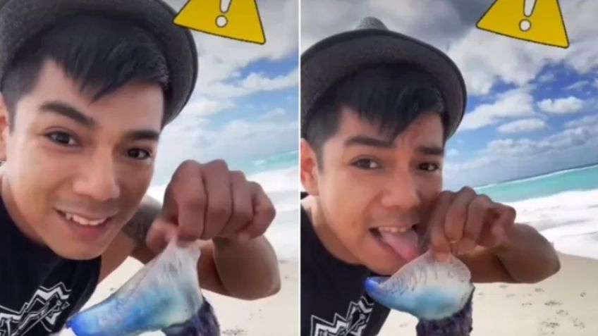 VIDEO: Por ganar visitas, tiktoker lame animal muy venenoso y lo critican en redes