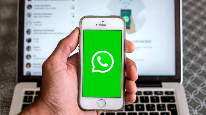 ¿Estás listo para el 15 de mayo? Así puedes saber si aceptaste las políticas de WhatsApp
