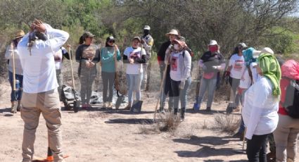 Colectivos de Ciudad Obregón se unen para realizar mega búsqueda en el Campo 60