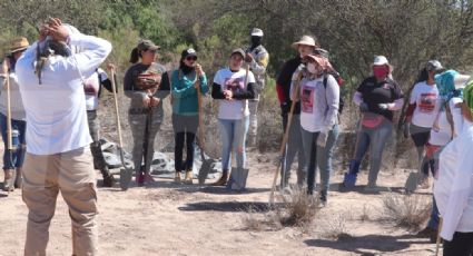 Habitantes de Guaymas realizan extensa limpieza a la Bahía Catalina