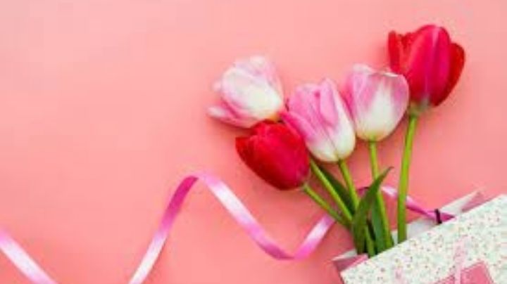 ¿Alguien cumple años? Este es el tipo de flores que debes regalar para la ocasión