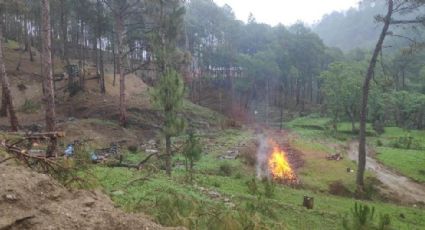 FUERTES IMÁGENES: Familias queman cadáveres en un bosque; los crematorios están desbordados