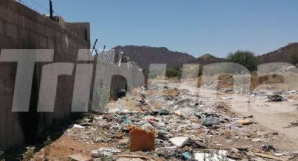 Vecinos de Hermosillo utilizan calle como basurero clandestino; hay animales muertos