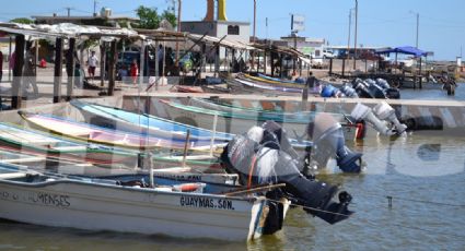 Pescadores de Guaymas optan por otras ocupaciones ante veda de especies marinas