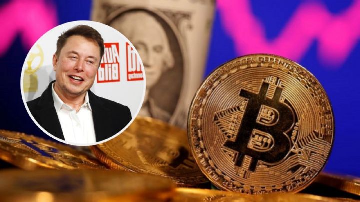 Estafadores que se hacen por Elon Musk defraudan con 2 millones de dólares en criptomonedas