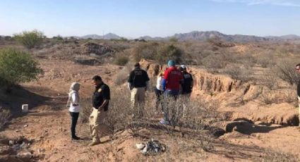 Hallan cuerpo de José Guadalupe en fosa clandestina de Guaymas; desapareció desde 2019