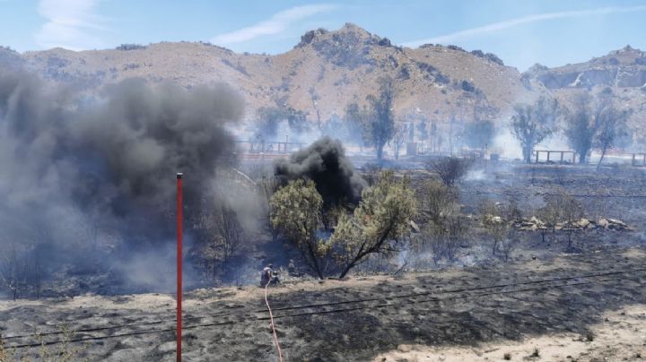 Sonora: Trágico incendio en el parque La Sauceda de Hermosillo; desalojan instalaciones