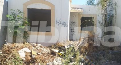 Habitantes en Guaymas denuncian incremento de casas abandonadas; son nidos de delincuencia