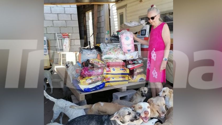 Protectores de animales preparan intensa jornada de adopciones en Empalme