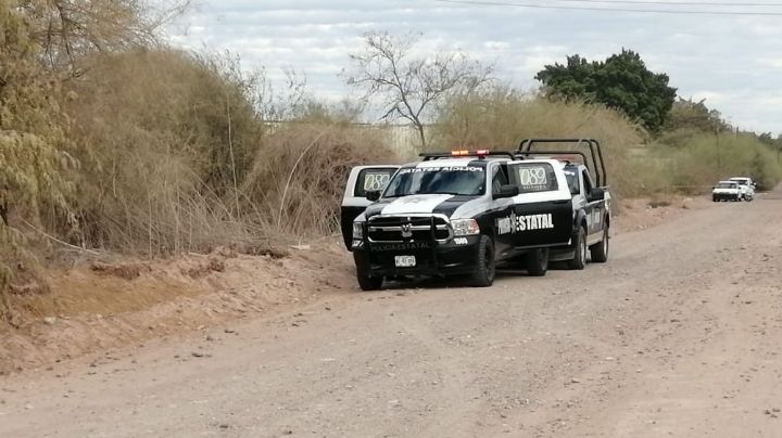 Localizan los cadáveres de 4 hombres en medio de un predio baldío en Michoacán