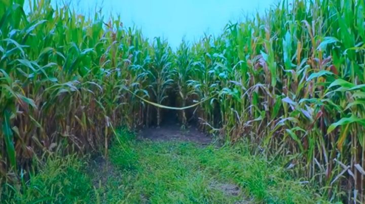 Aterrador: Revelan impactantes FOTOS del cadáver descompuesto de Mollie Tibbetts