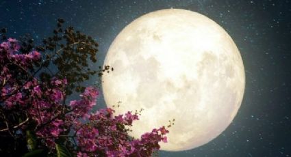 Prepárate para el 26 de mayo: ¿Cómo afectará la superluna de flores a los signos zodiacales?