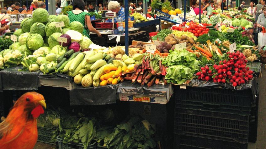 Inflación en semáforo rojo: Gasolina, pollo y gas, los productos que más la afectan en mayo