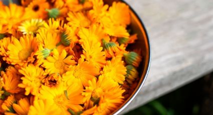 Mejora tu salud bucal con ayuda de alguna de estas hermosas flores